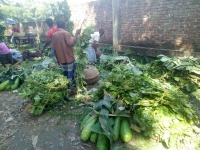 পাইকারী সবজি বাজার